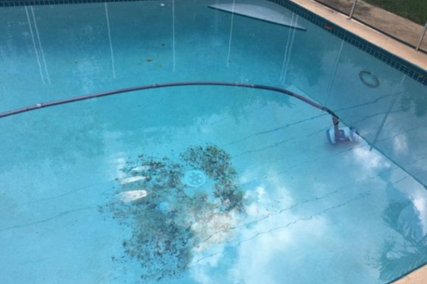 The Importance of Properly Maintaining Your Pool Vacuum