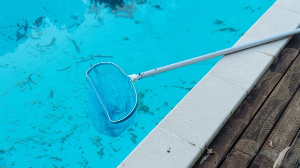 Description to Remove Algae from Pool Hoses