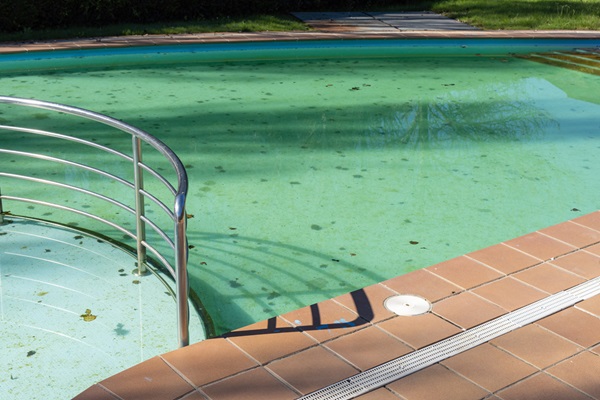 Why is regular pool vacuuming essential for your swimming pool?